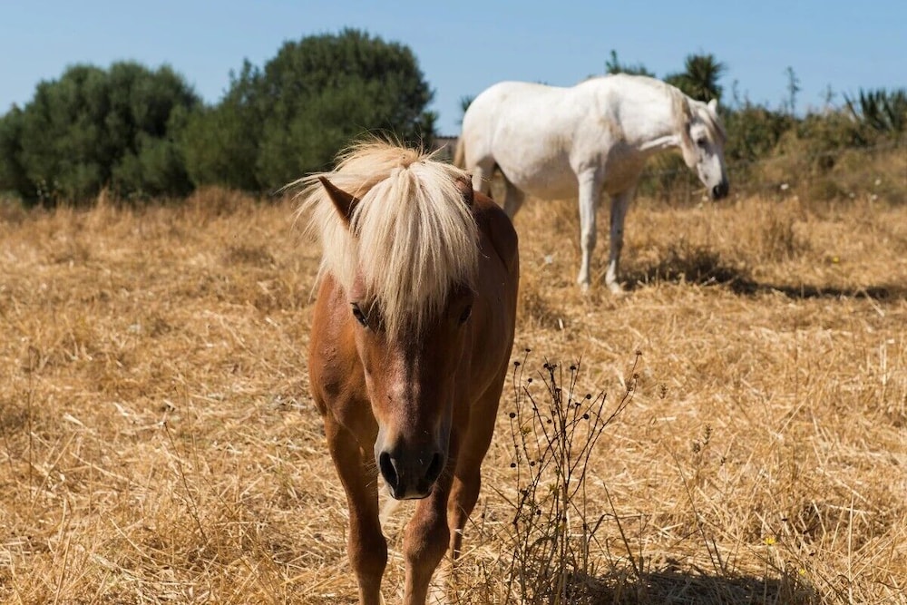 Ecoagroturismo Can Feliu 57/63