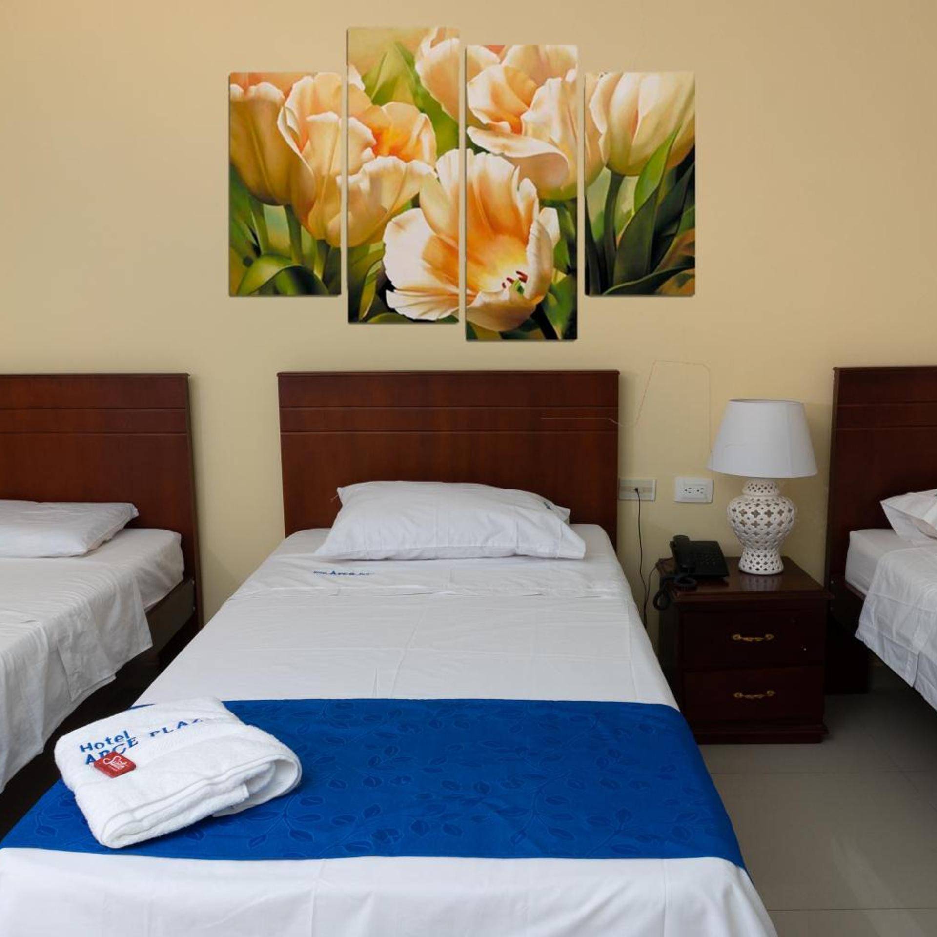 Hotel Arce Plaza 22/29