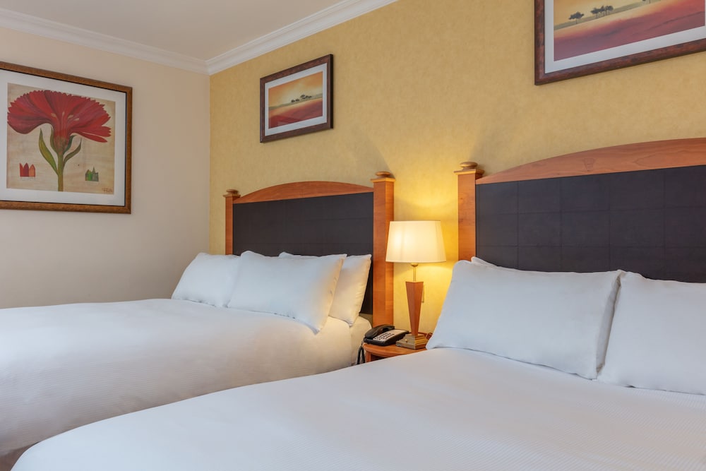 Belton Woods Hotel, Spa & Golf Resort 14/65