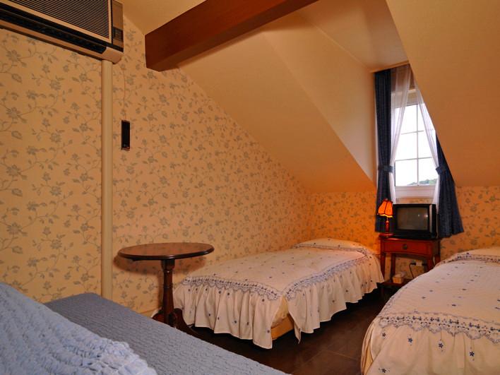 Style, Standard, Twin Beds, Ocean View, Attic