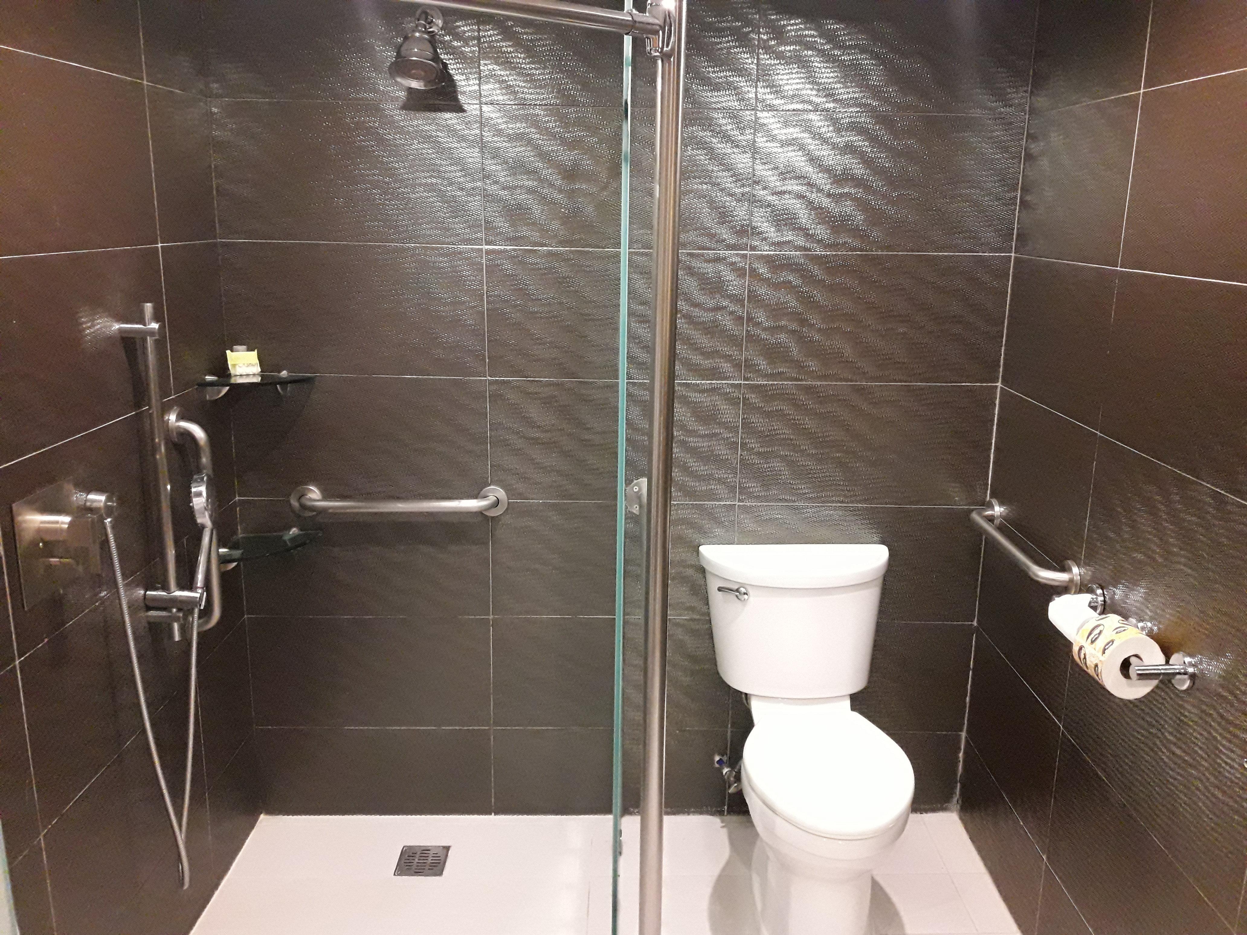 Room, King Bed, Accessible