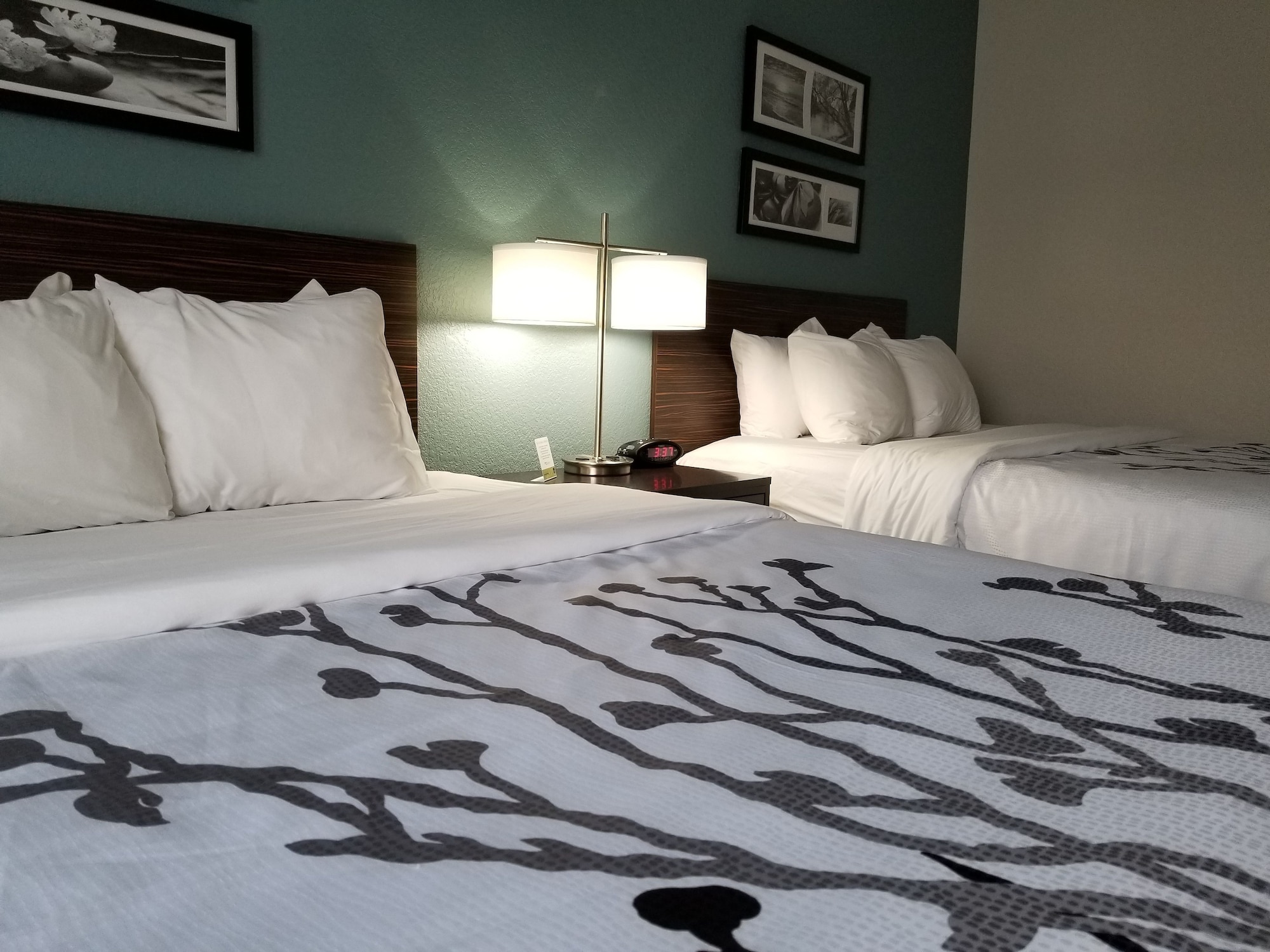 Standard, 2 Queen Beds, Sleep Inn and Suites Ames near ISU Campus 4/7