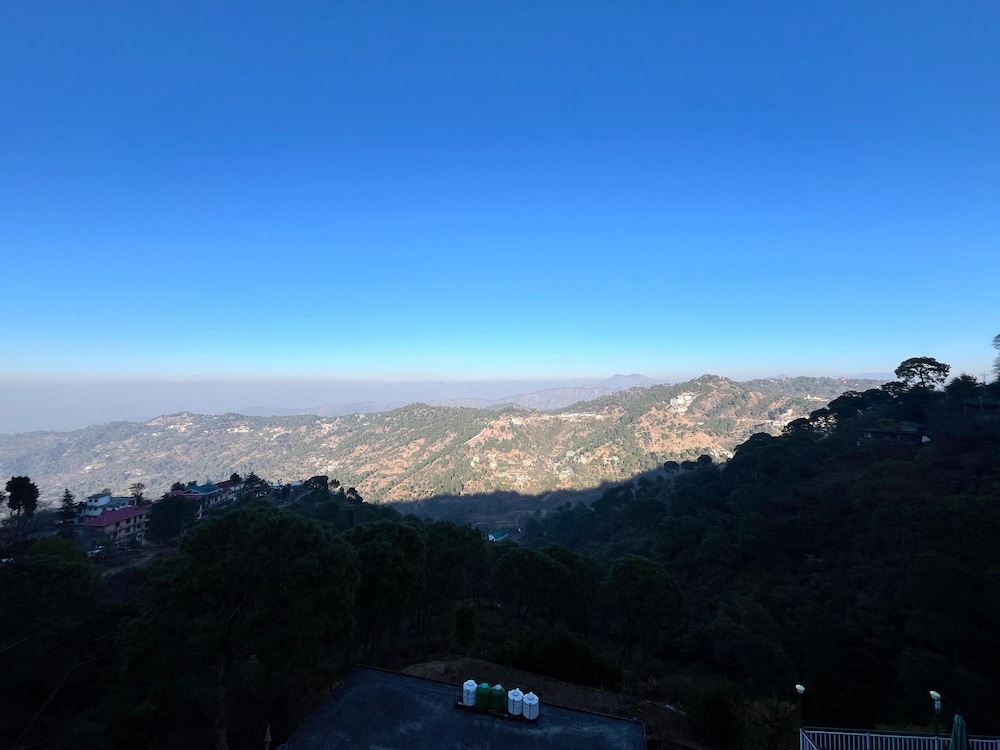 UNA COMFORT KASAULI EXOTICA 36/50