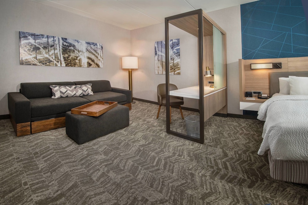 Hotel Springhill Suites By Marriott Gainesville Haymarket 17/34
