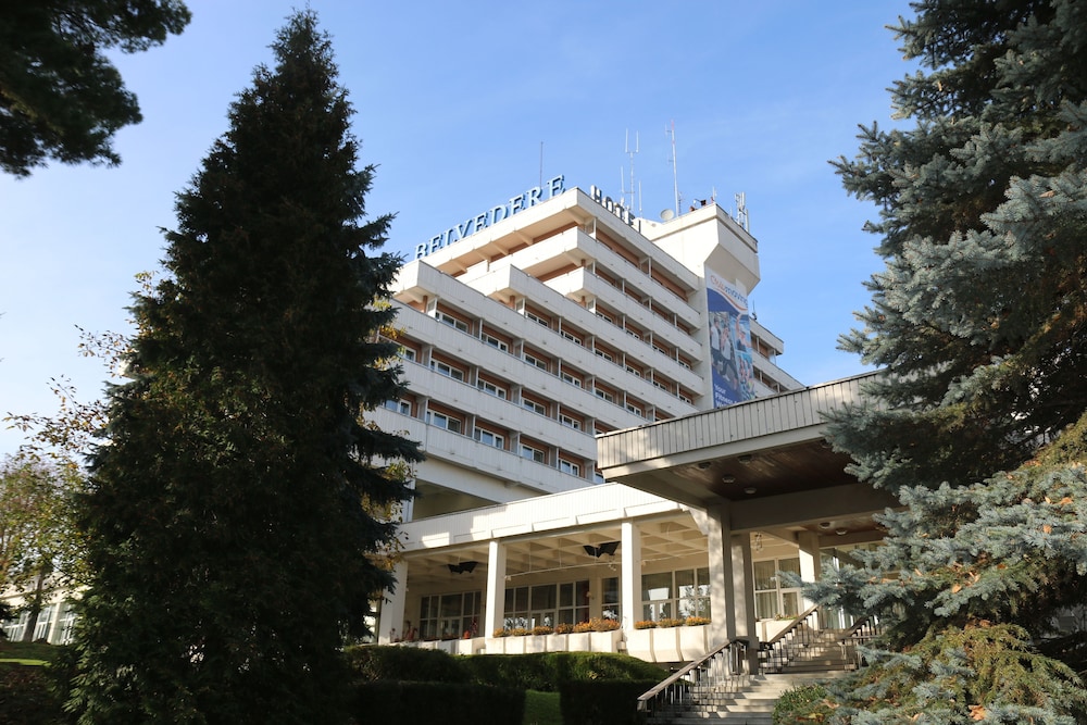 ベルヴェデーレ 写真4