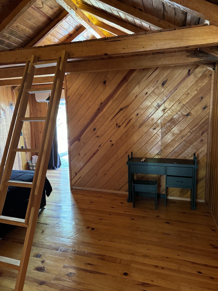 PINE TREE Hotel Boutique and Cabanas 23/56