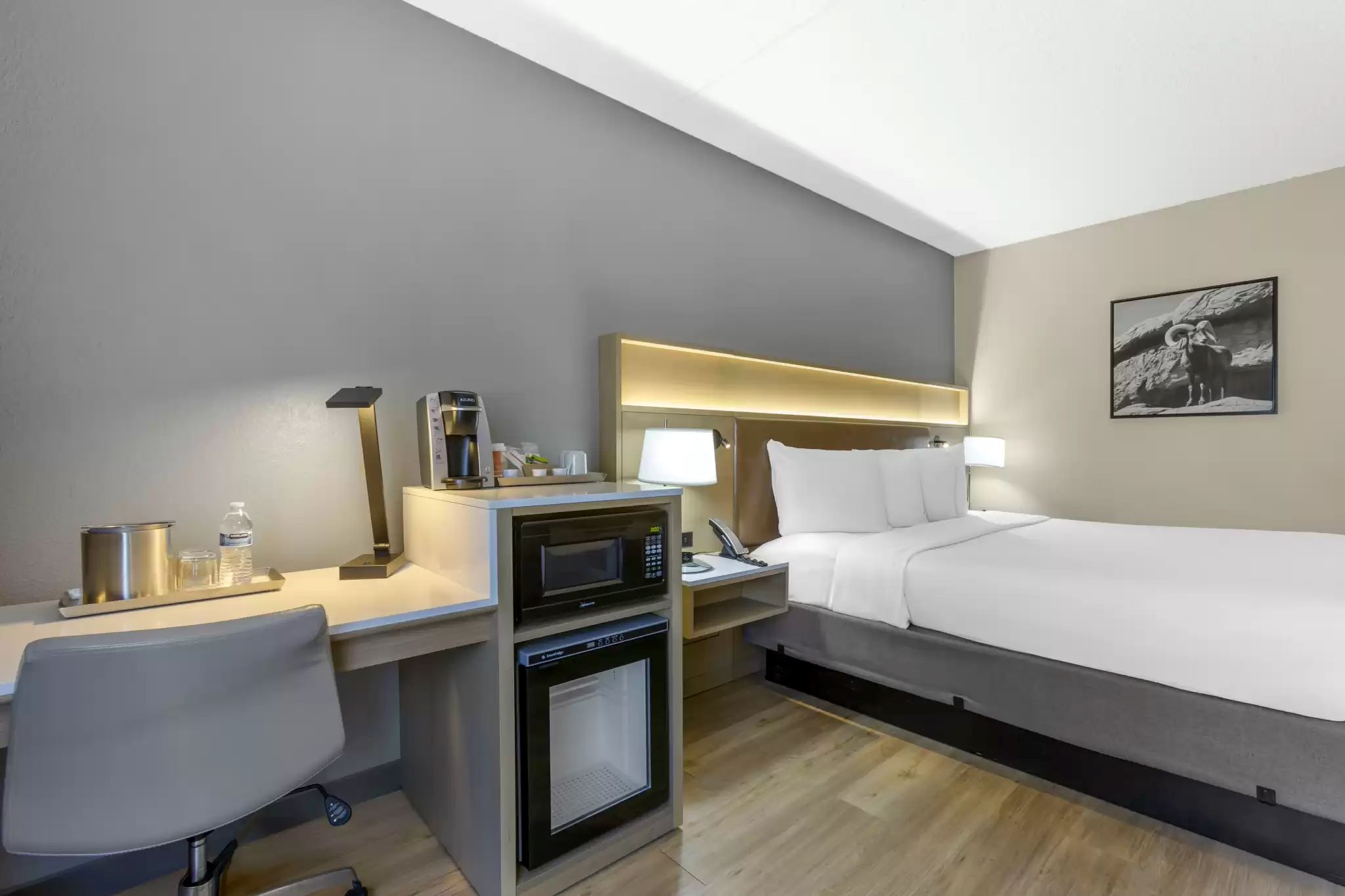 غرفة بسرير مزدوج لذوي الإعاقة، Radisson Hotel Casa Grande 2/3