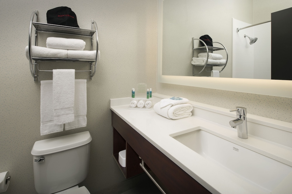HOLIDAY INN EXPRESS & SUITES CHARLOTTESVILLE - RUCKERSVILLE 17/54