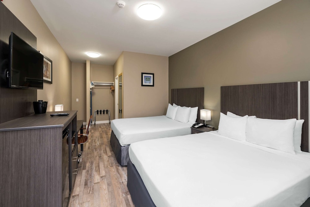 Standard, 2 Double Beds