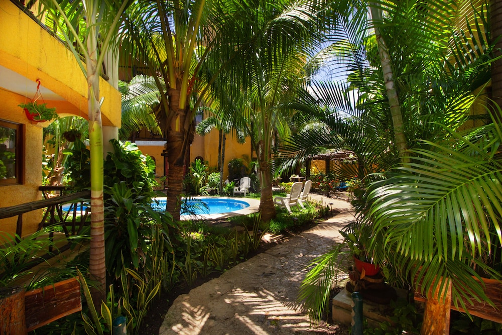 Playalingua Del Caribe 33/50