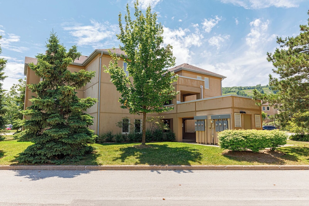 The Lodges At Blue Mountain Mountain Walk Condos 5/50