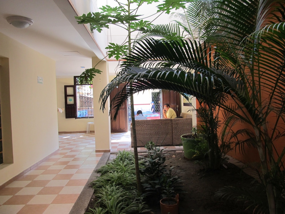 Hostal Solymar 12/42