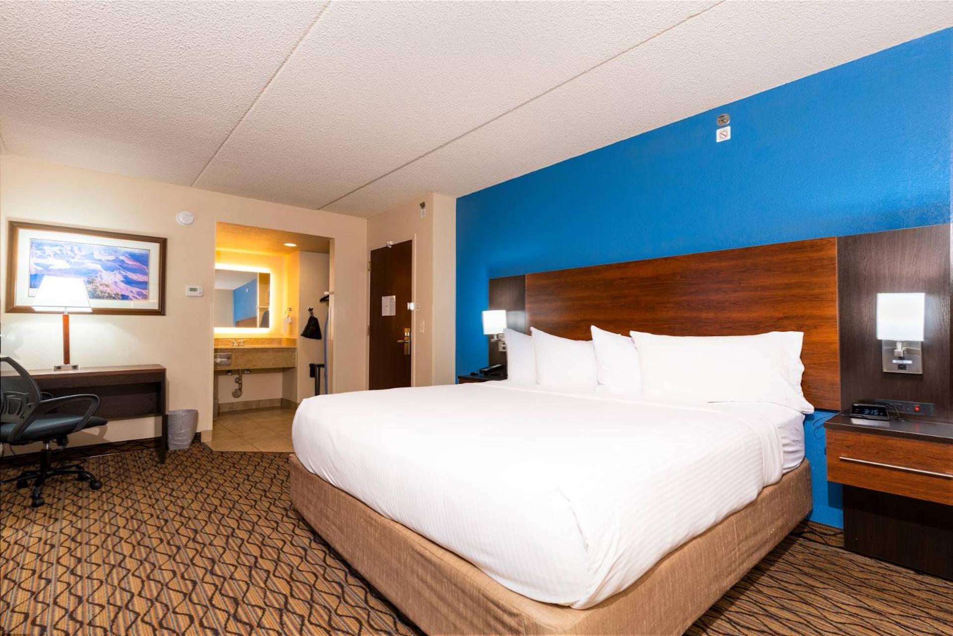 Suite, King Bed, Adult Only