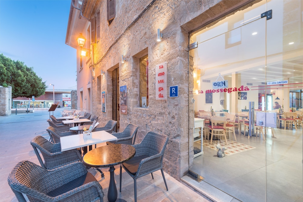 Alcudia Petit 21/50