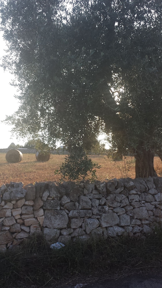 Masseria Gianca 29/39