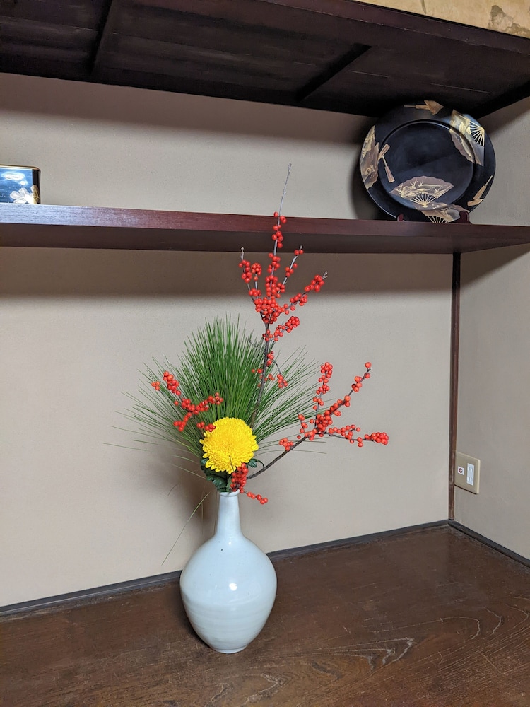 Tanoya 6/50