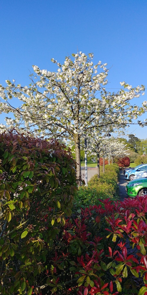 Best Western Appleby Park Hotel 3/48