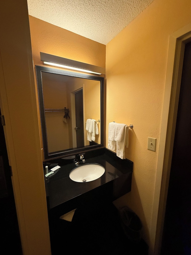 Studio, King Bed, Sofa, Fairfield Inn Suites Atlanta Suwanee 3/3