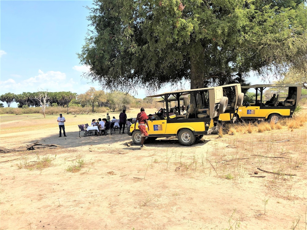 Africa Safari Camp 40/50