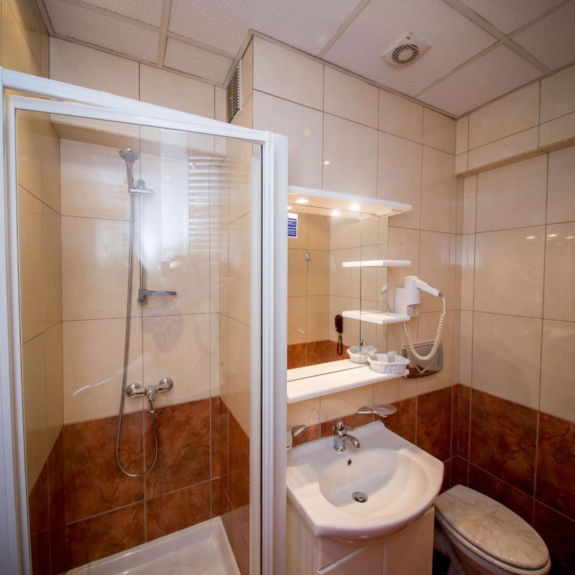 غرفة قياسية مفردة، Best Western Central Hotel 7/10