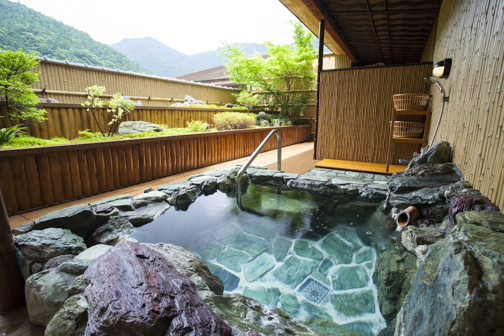 Shin Iya Onsen Hotel Kazurabashi 29/55