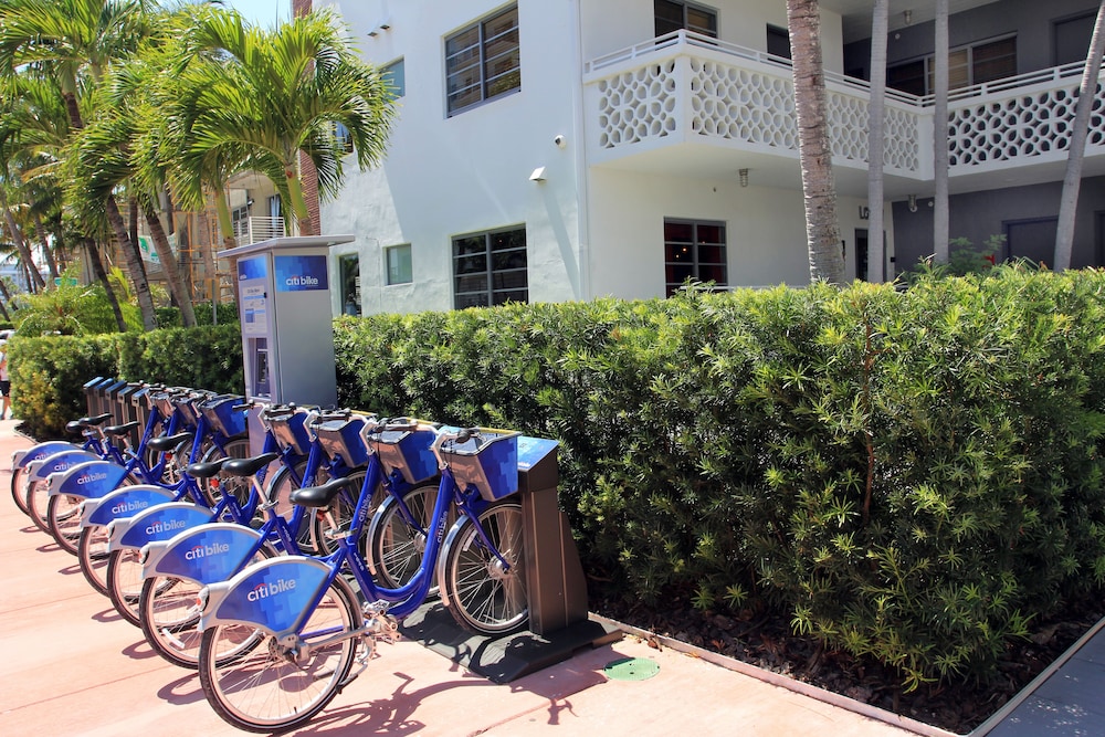 HOTEL GAYTHERING Adult Only 37/41