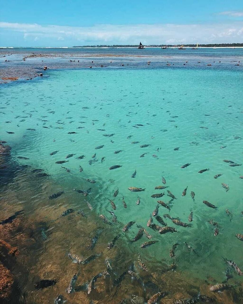Pousada Sal E Mar 64/68