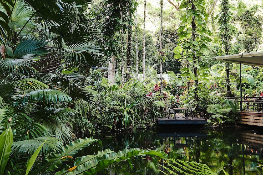 Daintree Ecolodge 42/50