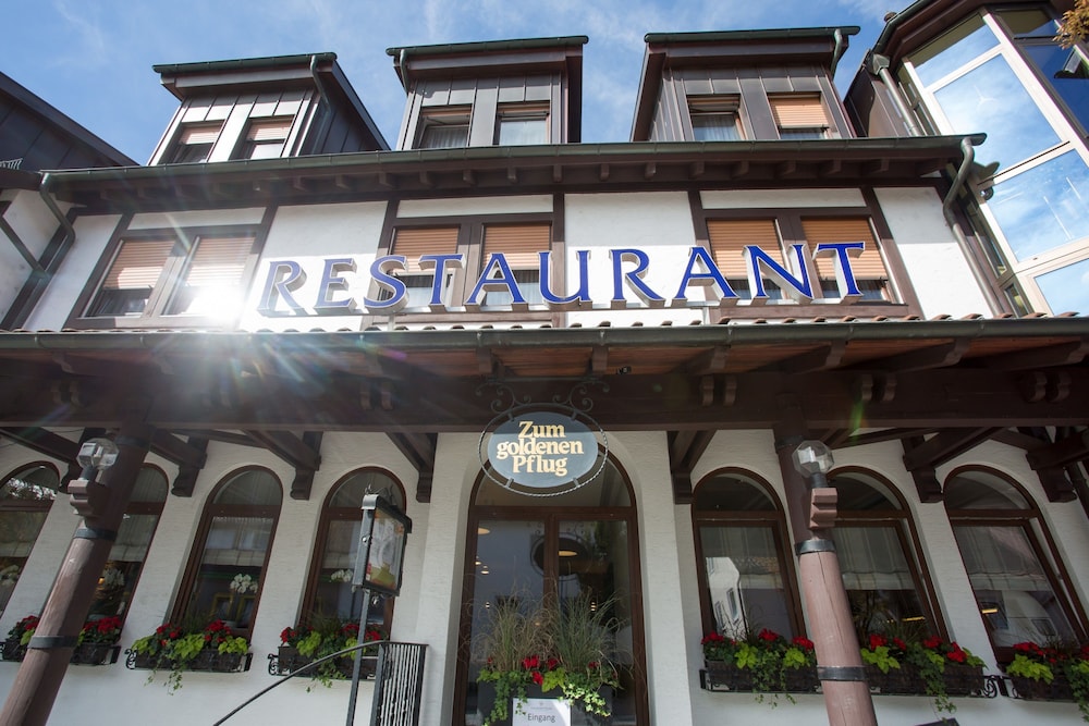 Hotel & Restaurant Goldener Pflug 2/77