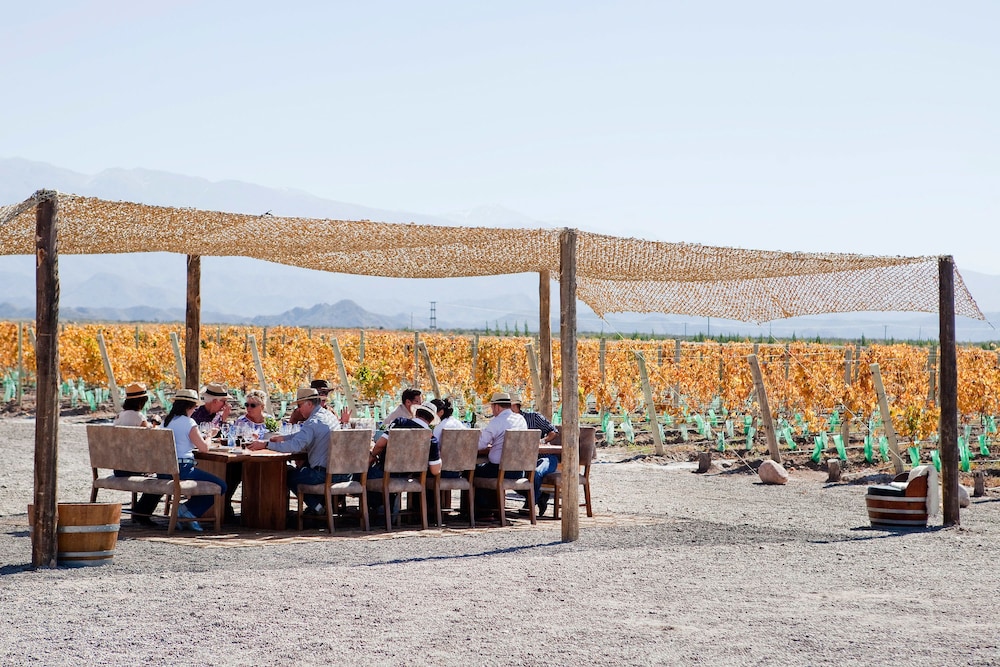 Casa de Uco Vineyards Wine Hotel 65/74