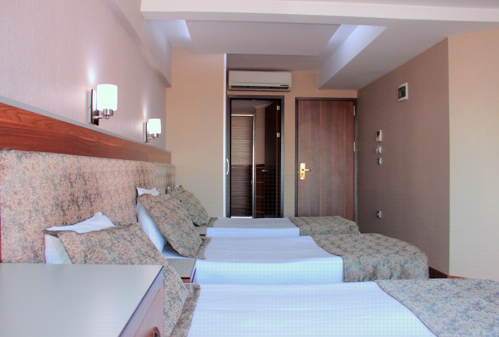 Hotel Buyuk Paris 11/50