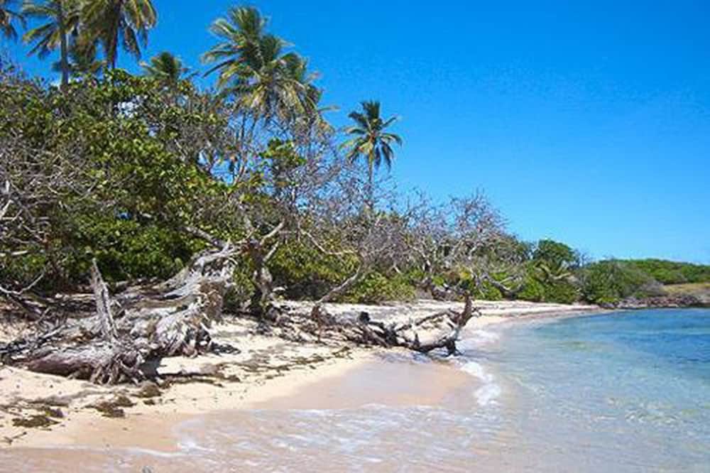 Le Paradis De L Anse 25/30
