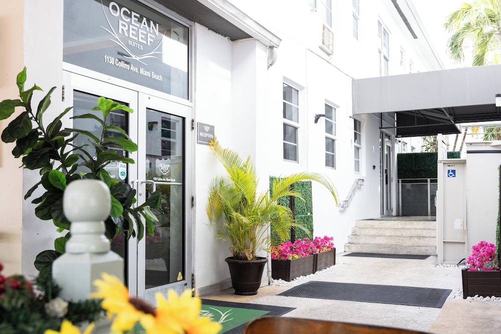 Ocean Reef Suites 3/62