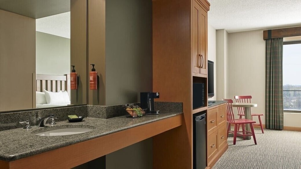 Park, Water, Family, Studio, Suite, 2 Queen Beds, Sofa، Great Wolf Lodge Bloomington 4/4