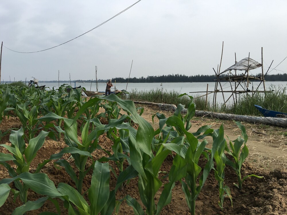 Riverside Hamlet Homestay & Villas 58/68