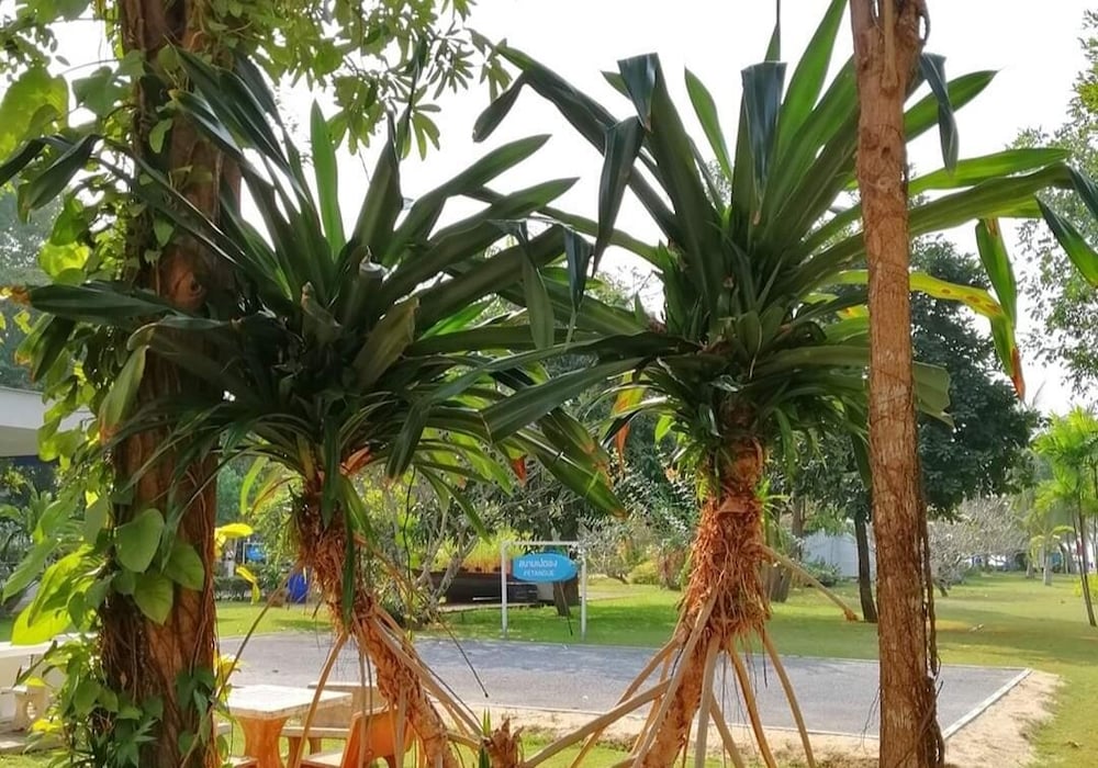 The Princess Beachfront Resort 15/18