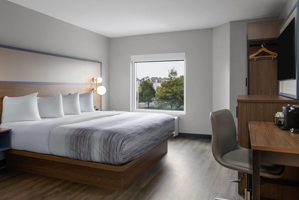 Room, King Bed