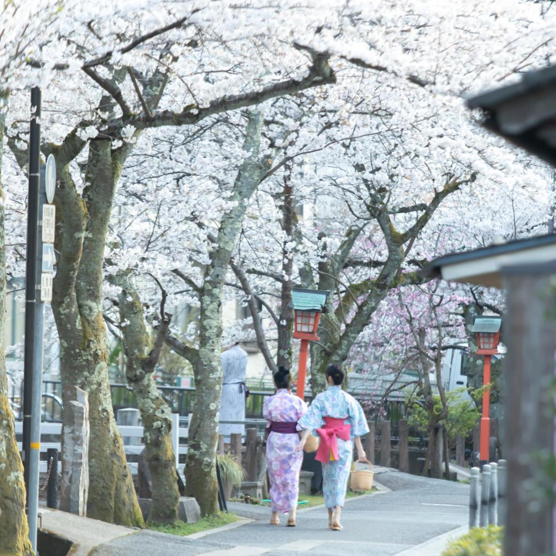 Kinosaki Onsen Ryokan Sensui 34/58