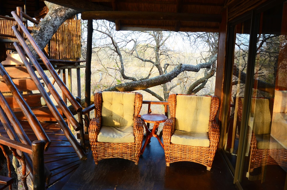 Pezulu Tree House Lodge 25/50