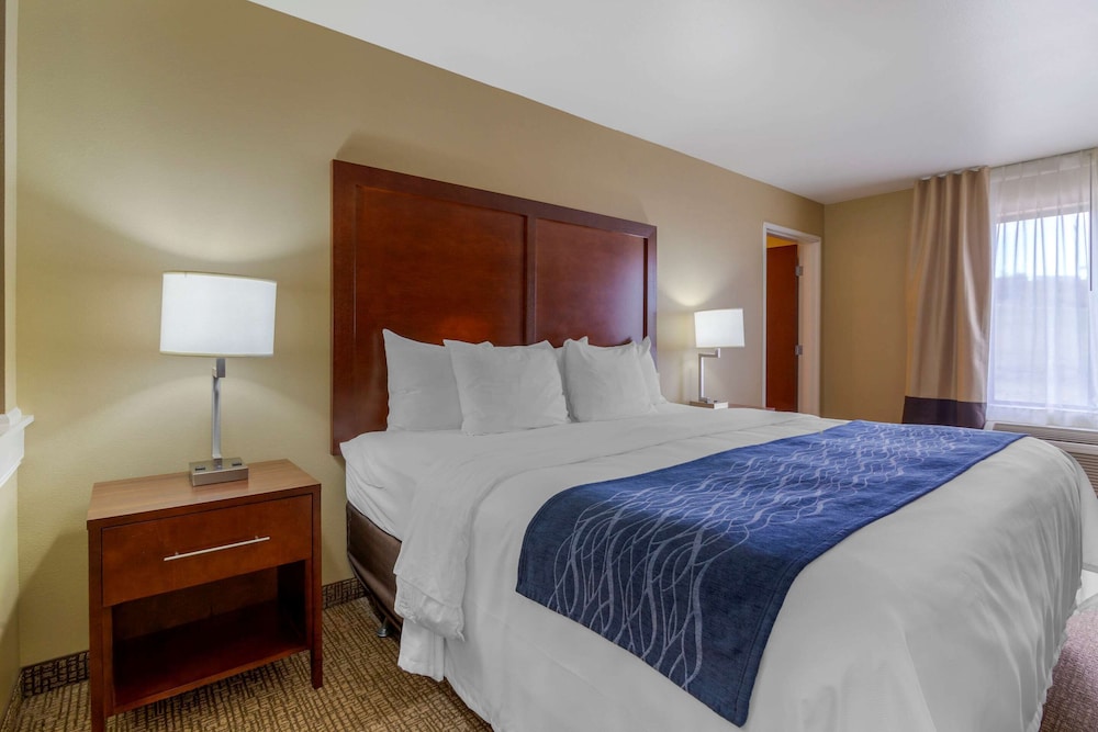 Efficiency, Suite, King Bed