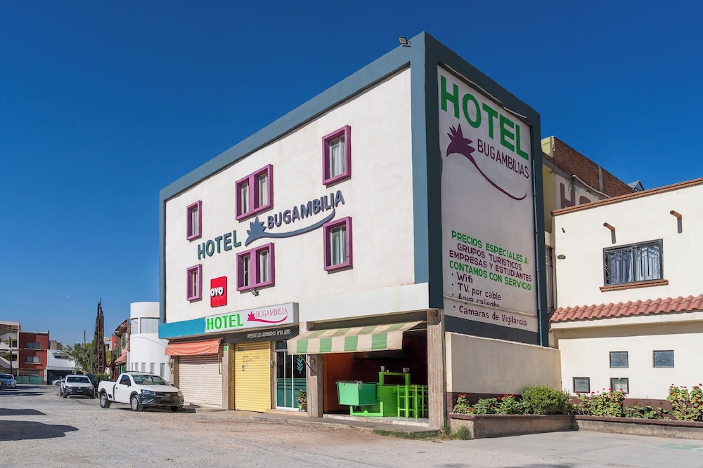OYO酒店Posada Bugambilia, San Luis Potosi(OYO Hotel Posada Bugambilia, San Luis Potosi) 图片3