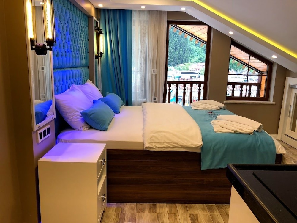 Hayat Rose Hotel 43/66