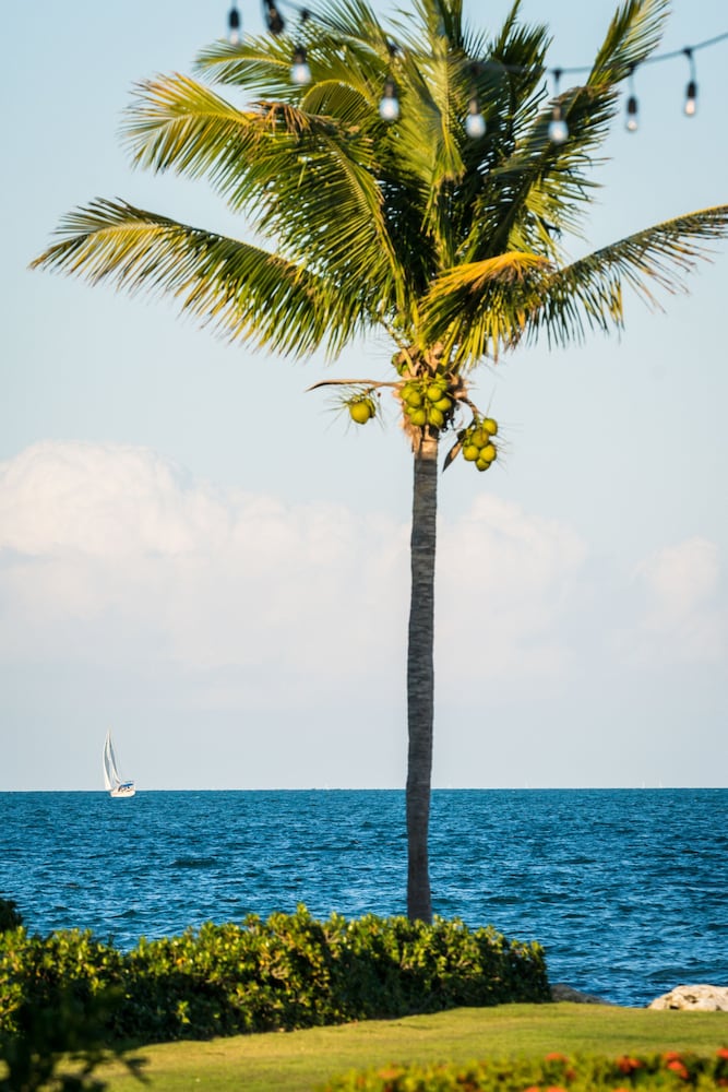 The Grand Caymanian Resort 59/61