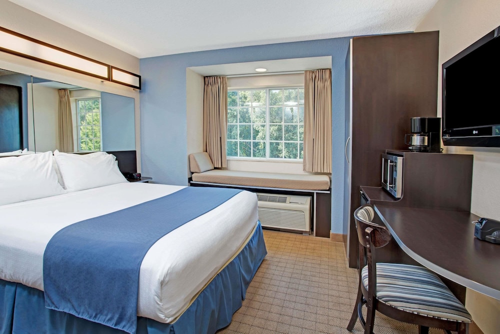 Microtel Inn and Suites by Wyndham Brooksville 19/53