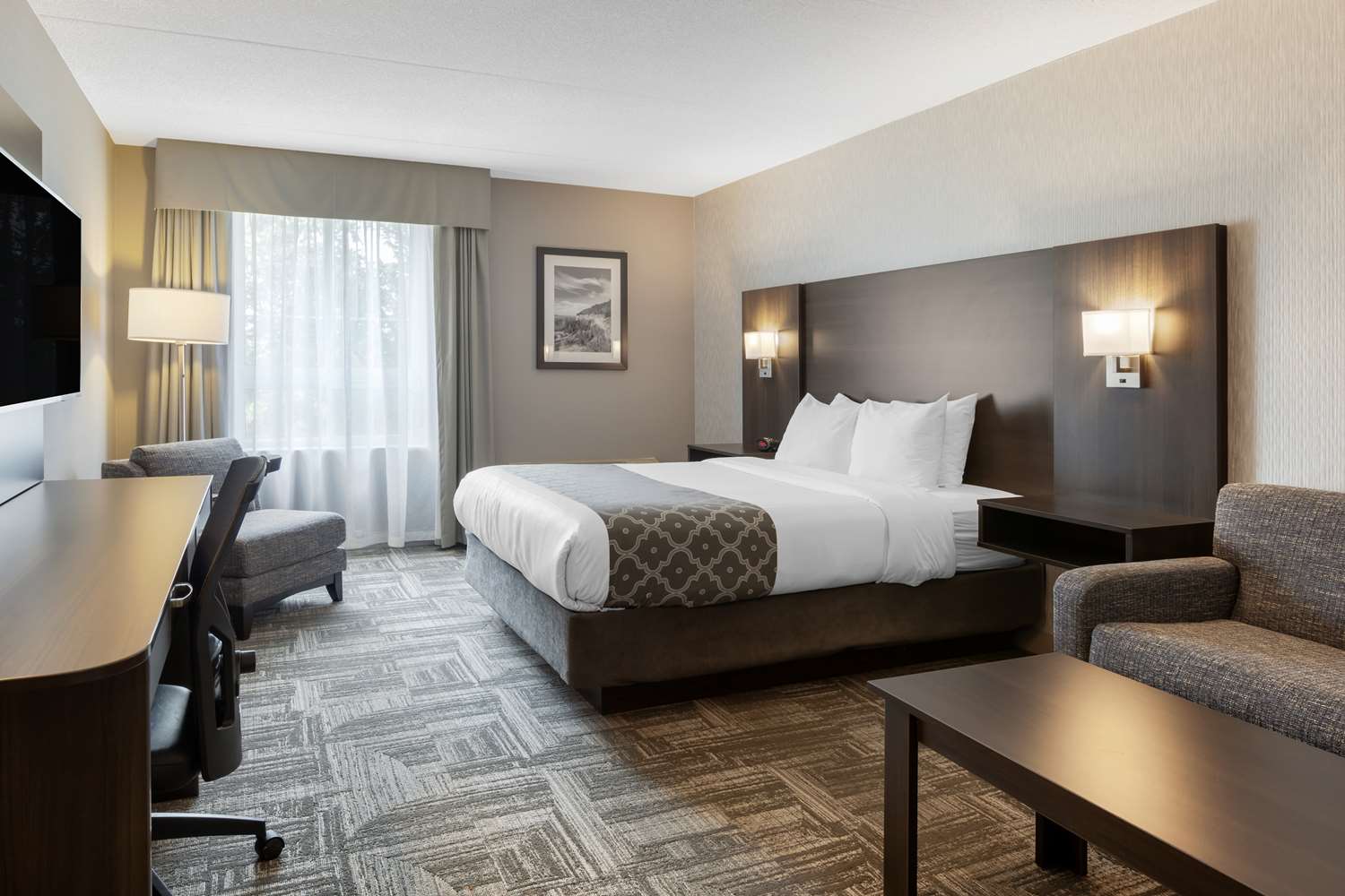 Room, Queen Bed, Sofa, Best Western Milton 2/4