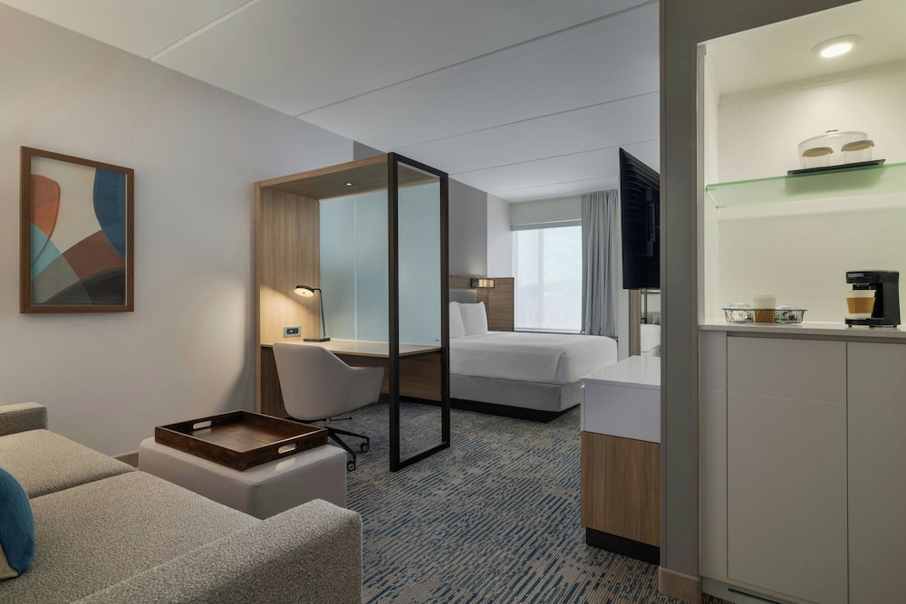 جناح بسرير كينج مع سرير سحّاب إضافي لذوي الإعاقة، Springhill Suites Allentown Bethlehem Center Valley 7/8