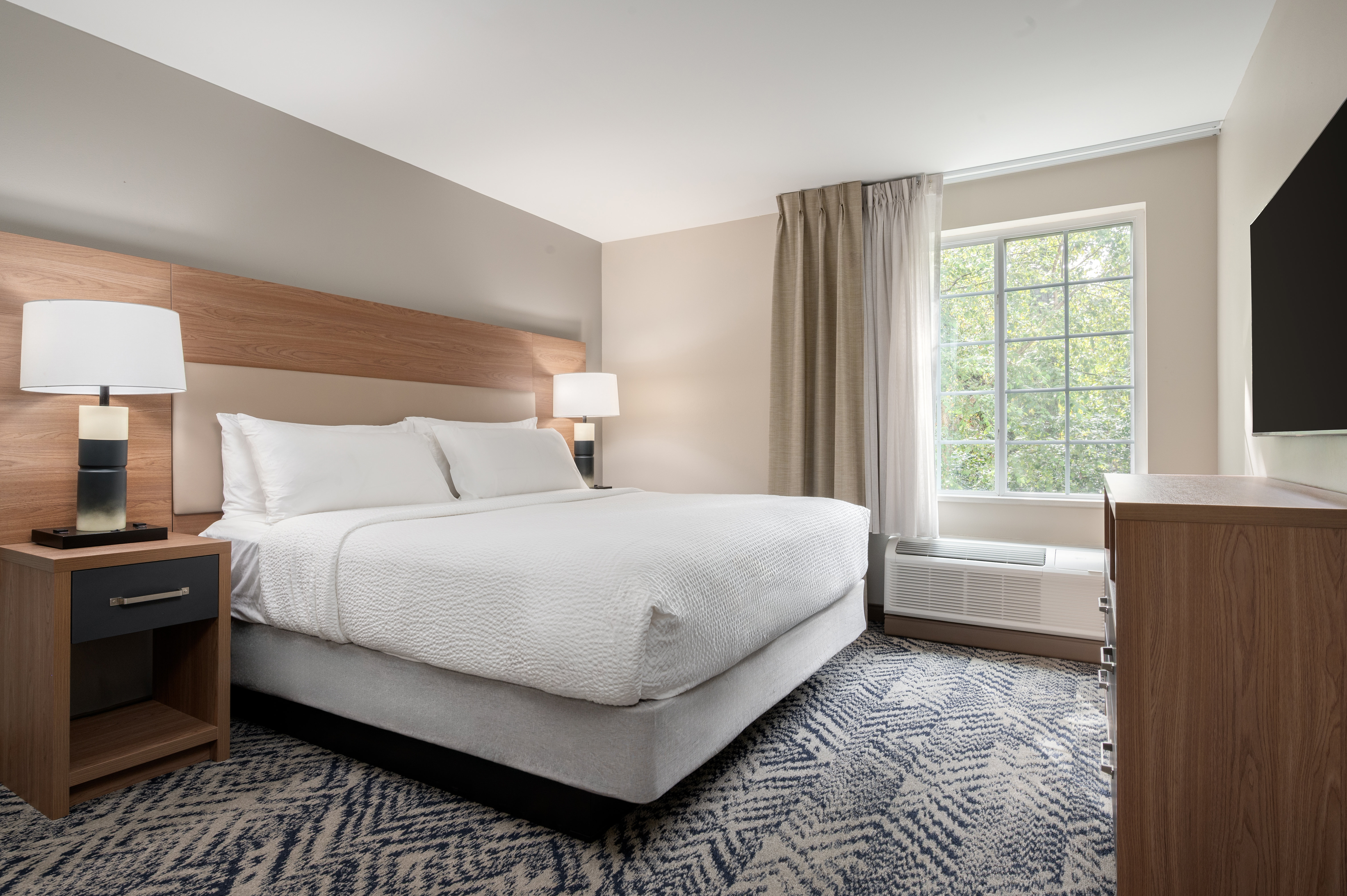 Studio, Suite, King Bed