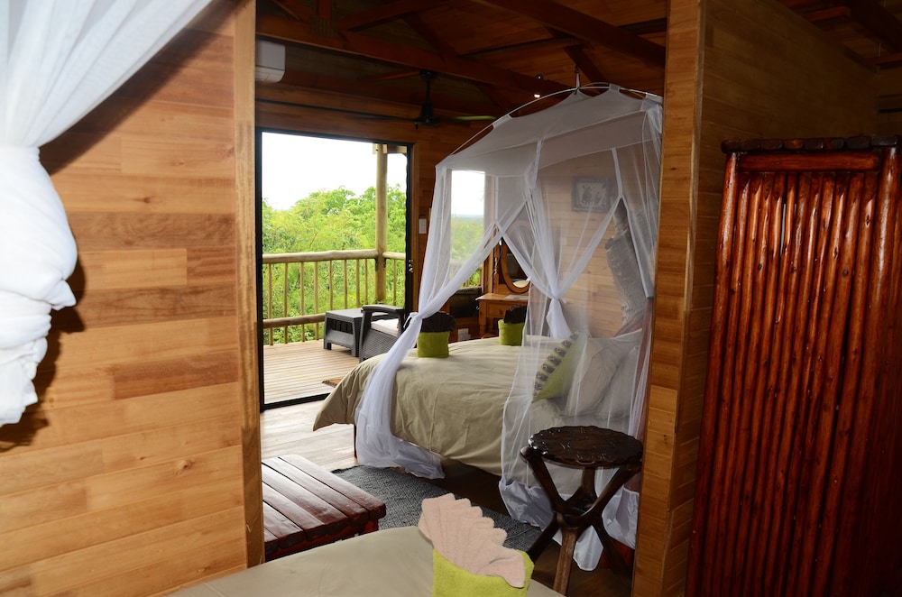 Pezulu Tree House Lodge 19/50