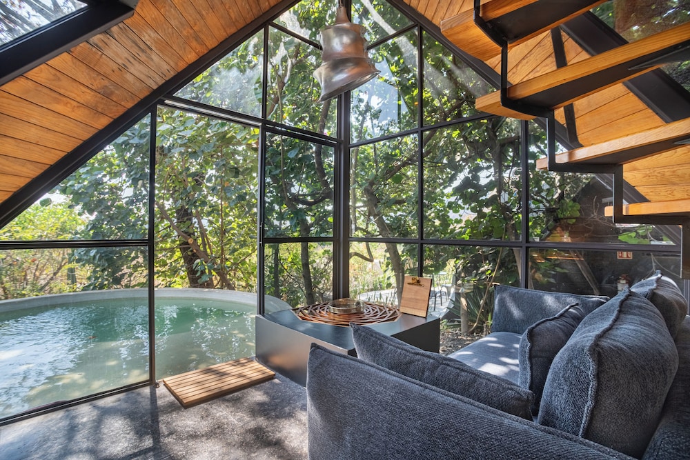 Bosque Geometrico 23/50