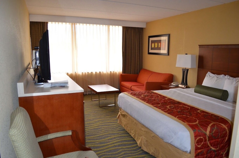 Business, King Bed, Sofa